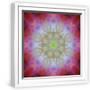 White Frame