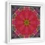White Frame
