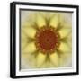 Black Frame