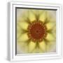 White Frame