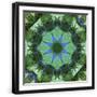 Black Frame