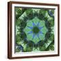 Brown Frame