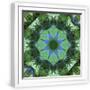 White Frame