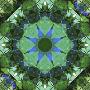Just the Print