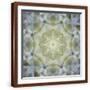 Brown Frame
