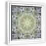 White Frame