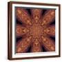 Brown Frame