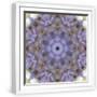 White Frame