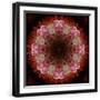 Black Frame