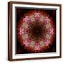Brown Frame