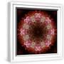 White Frame