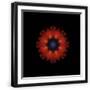 Black Frame