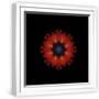 White Frame