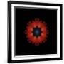 Gramercy Black