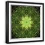 Black Frame