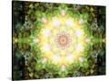 Stretched Canvas