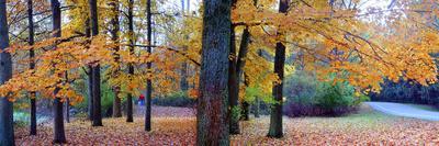 Fall foliage in Eagle Creek Park, Indianapolis, Indiana, USA-Anna Miller-Photographic Print