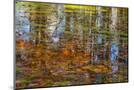 Wood Mount