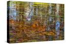 Stretched Canvas