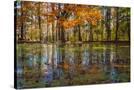 Stretched Canvas