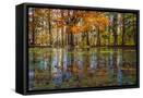 Canvas Black