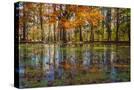 Stretched Canvas