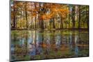 Wood Mount