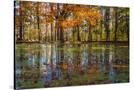 Stretched Canvas