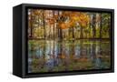 Canvas Black