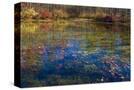 Stretched Canvas