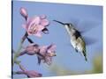 Stretched Canvas