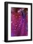 Chelsea Black