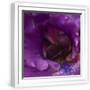 White Frame