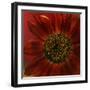 Black Frame