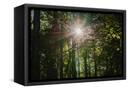Canvas Black