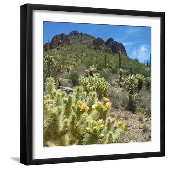 Premium Photographic Print, , large