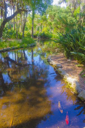 USA, Florida. Washington Oaks Gardens State Park pond.