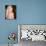 Anna Nicole Smith-null-Photo displayed on a wall