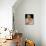 Anna Nicole Smith-null-Mounted Photo displayed on a wall