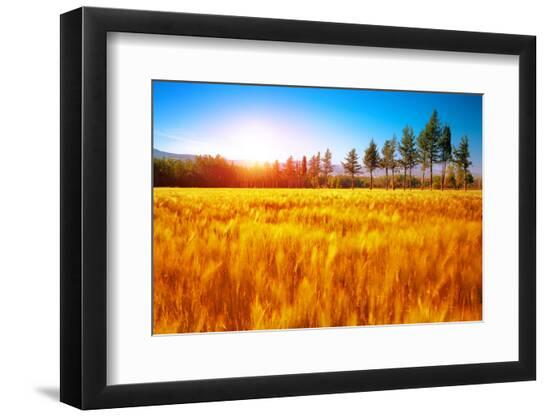 Premium Photographic Print, , large