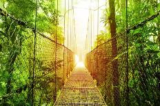 Picture of Arenal Hanging Bridges Ecological Reserve, Natural Rainforest Park-Anna Omelchenko-Art Print