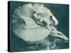 Anna Pavlova (1881-1931) Russian Ballet Dancer Photographed Here in Swan Lake in 1920-null-Stretched Canvas
