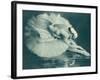 Anna Pavlova (1881-1931) Russian Ballet Dancer Photographed Here in Swan Lake in 1920-null-Framed Photographic Print