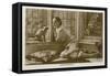 Anna Pavlova, Home, Cat-null-Framed Stretched Canvas