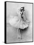 Anna Pavlova in the Role of the Dying Swan, C.1905-null-Framed Stretched Canvas