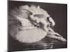 Anna Pavlova in 'The Swan'-null-Mounted Photographic Print