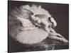 Anna Pavlova in 'The Swan'-null-Stretched Canvas