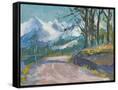 Canvas Black