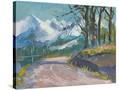 Stretched Canvas