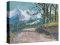 Stretched Canvas